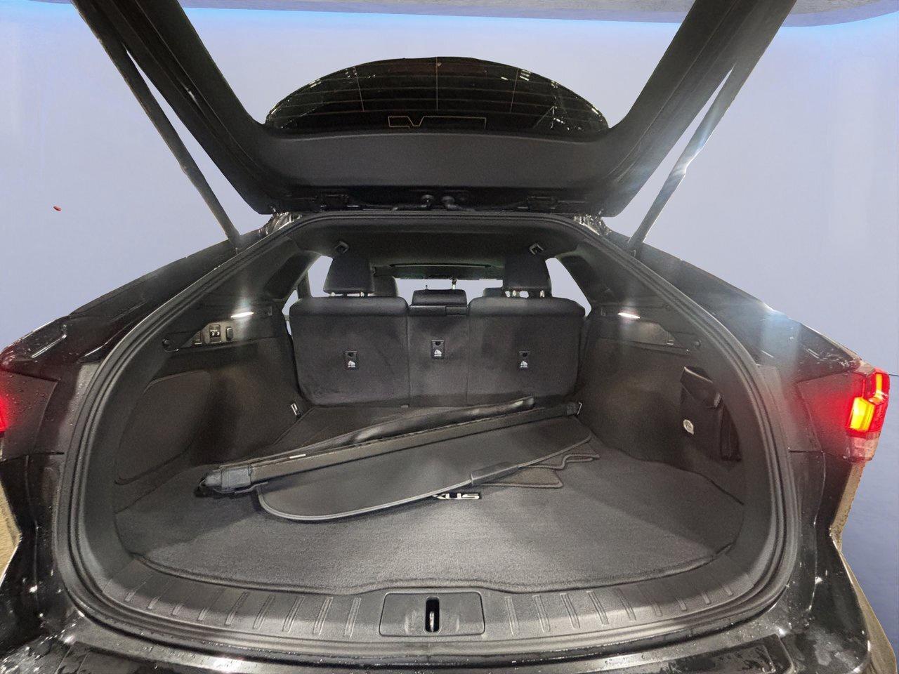 2023 Lexus RX RX 350h Photo