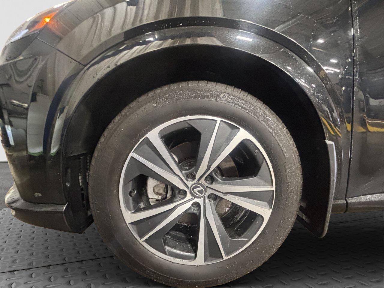 2023 Lexus RX RX 350h Photo