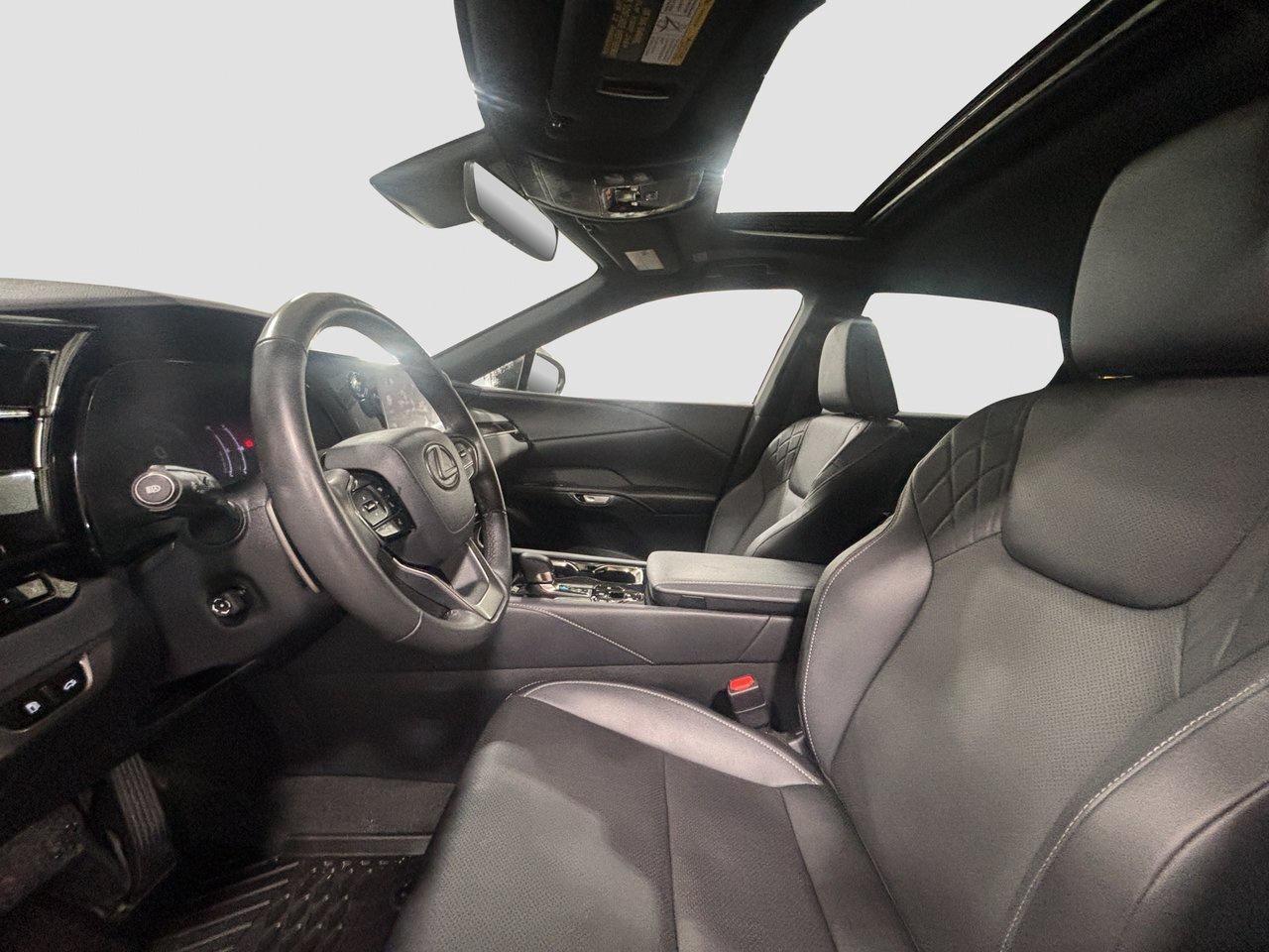 2023 Lexus RX RX 350h Photo