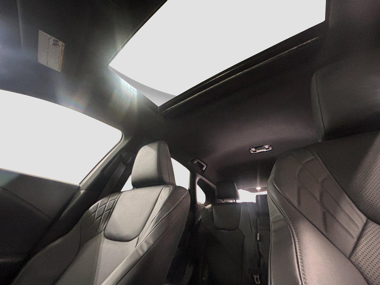 2023 Lexus RX RX 350h Photo
