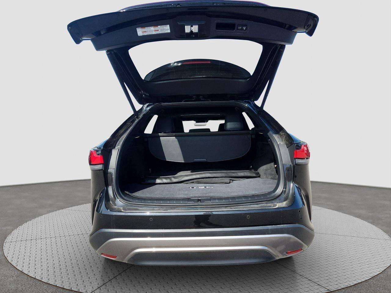 2023 Lexus RX RX 350h Photo