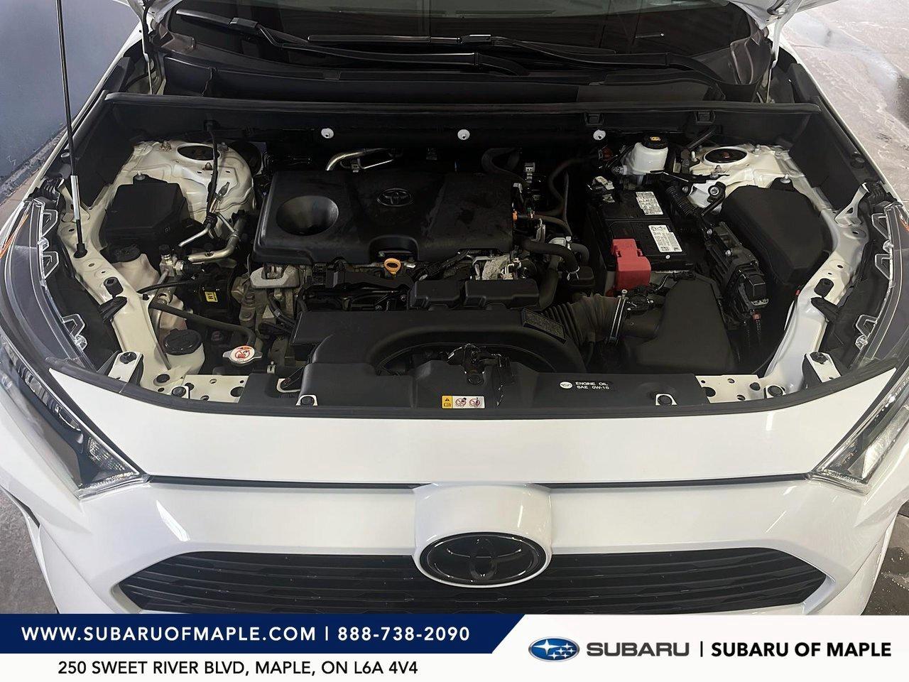 2021 Toyota RAV4  Photo