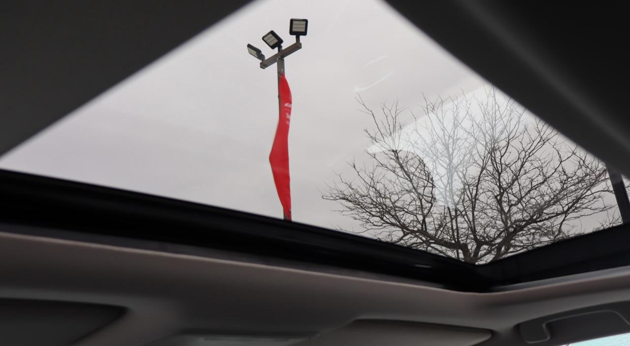 2022 Honda Civic Touring 4dr Sedan Photo