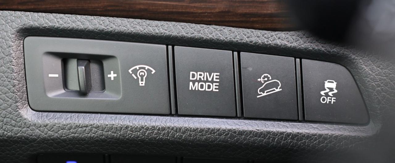 2018 Hyundai Santa Fe XL XL-LIMITED-AWD-7PASS-R STARTER/NAV/PANO ROOF/B CAM Photo