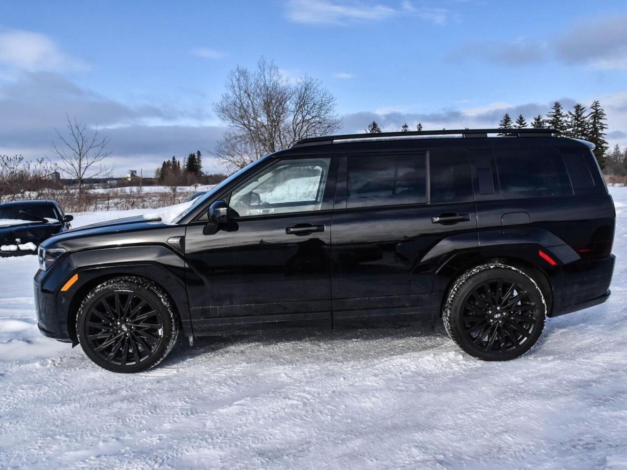 2025 Hyundai Santa Fe Ultimate Calligraphy used Photo2