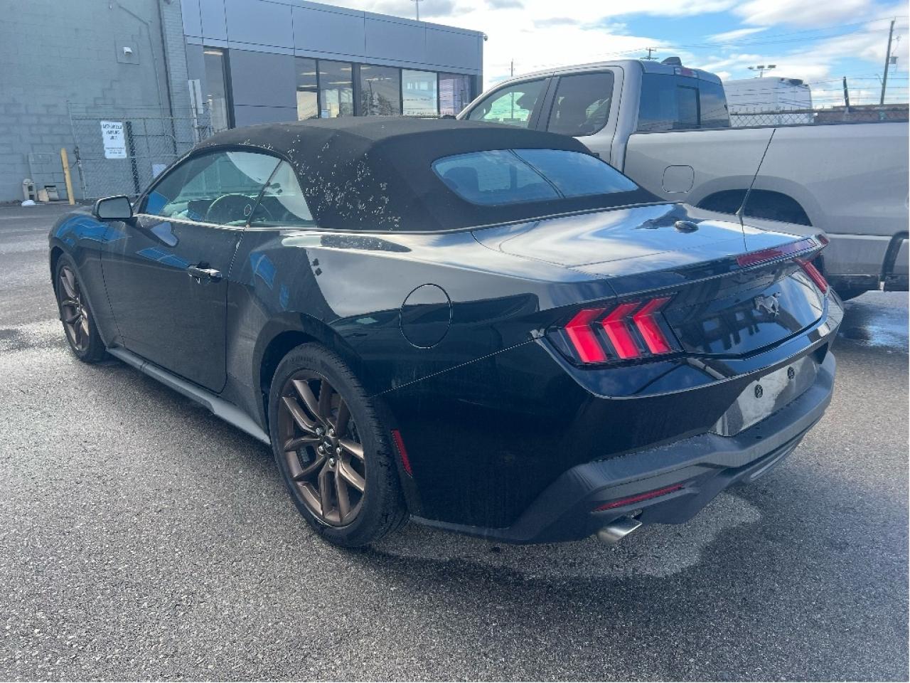 2025 Ford Mustang EcoBoost Premium Convertible Photo