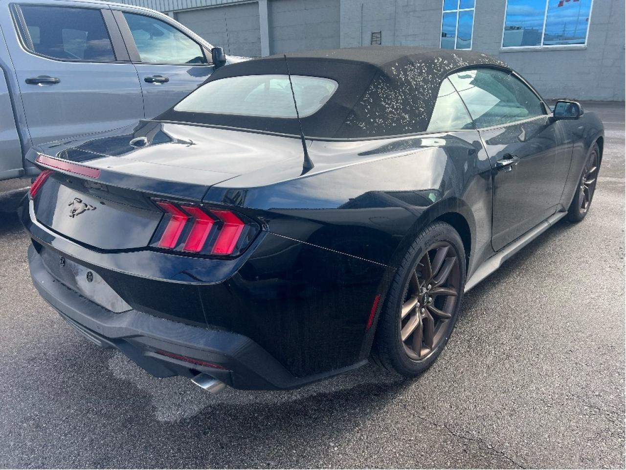2025 Ford Mustang EcoBoost Premium Convertible Photo