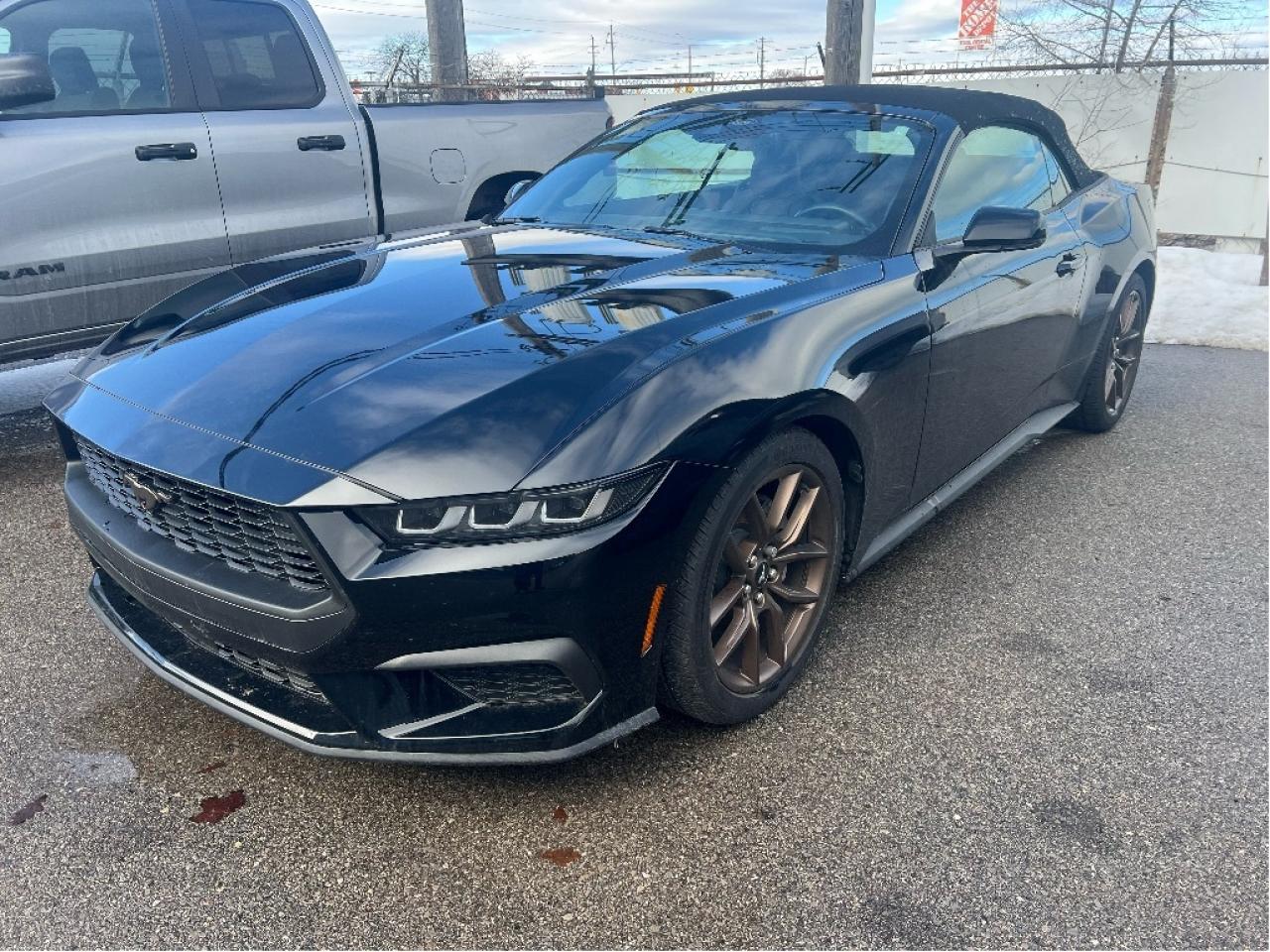 2025 Ford Mustang EcoBoost Premium Convertible Photo
