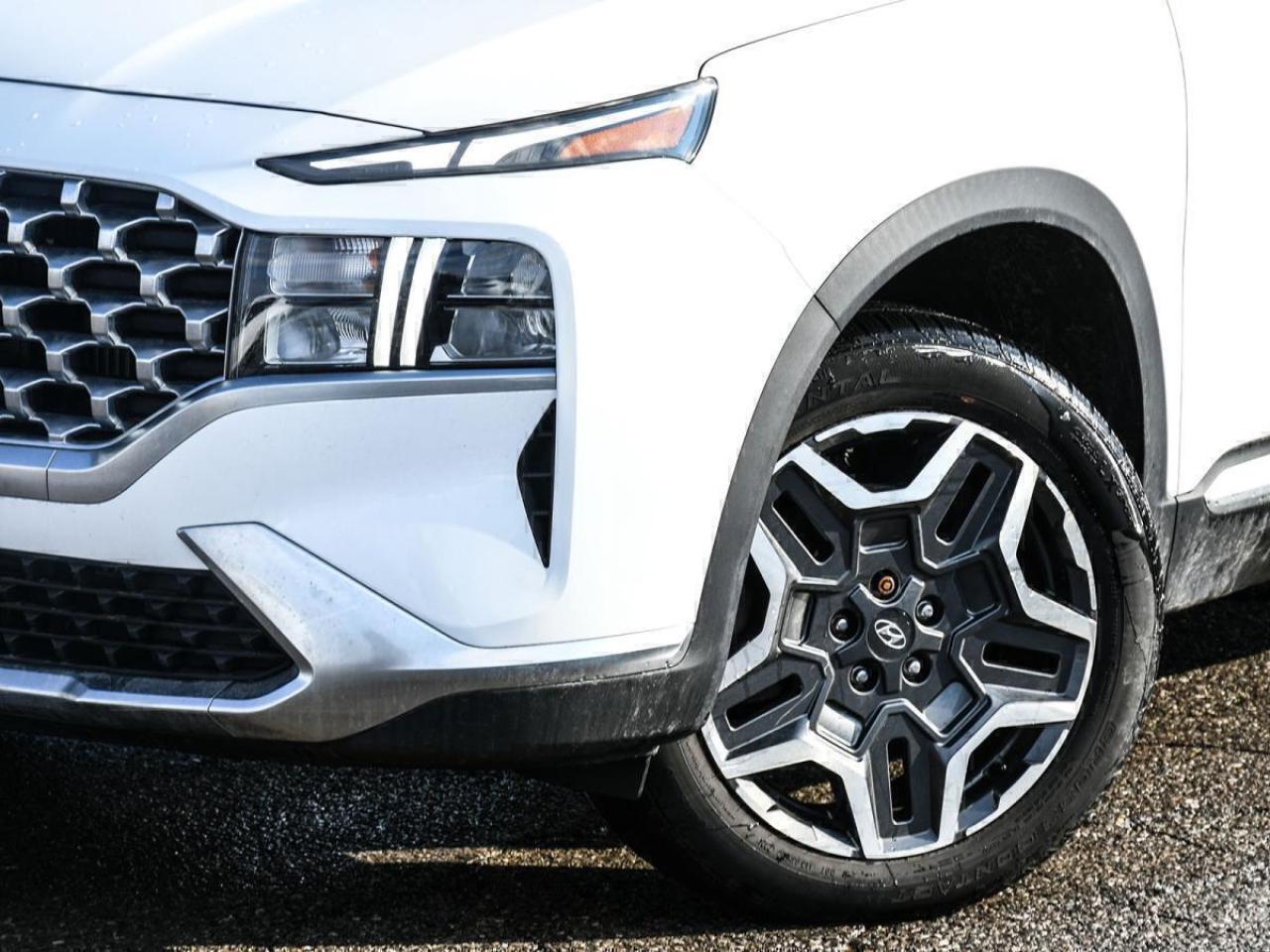 2022 Hyundai Santa Fe Hybrid Luxury Photo