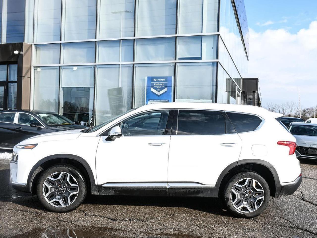 2022 Hyundai Santa Fe Hybrid Luxury Photo