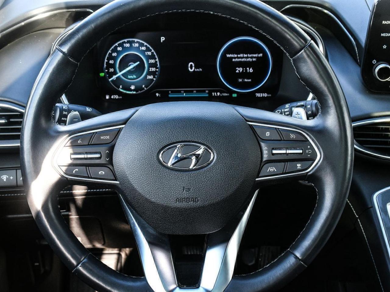 2022 Hyundai Santa Fe Hybrid Luxury Photo