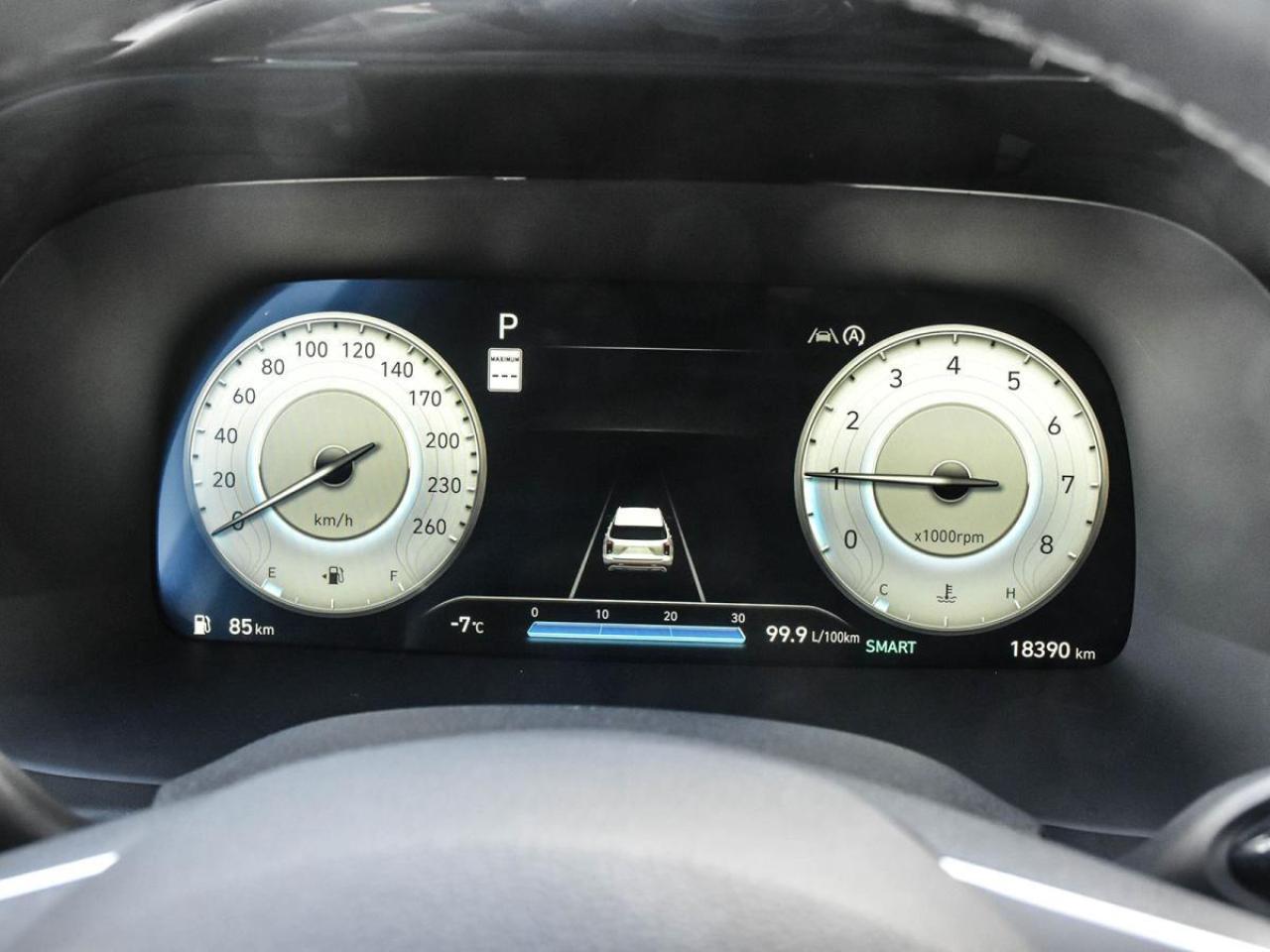 2025 Hyundai PALISADE Ultimate Calligraphy Photo