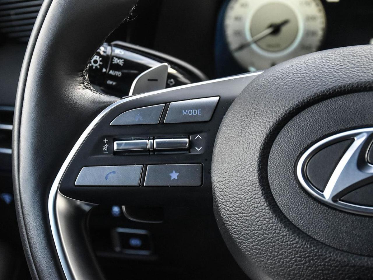 2025 Hyundai PALISADE Ultimate Calligraphy Photo