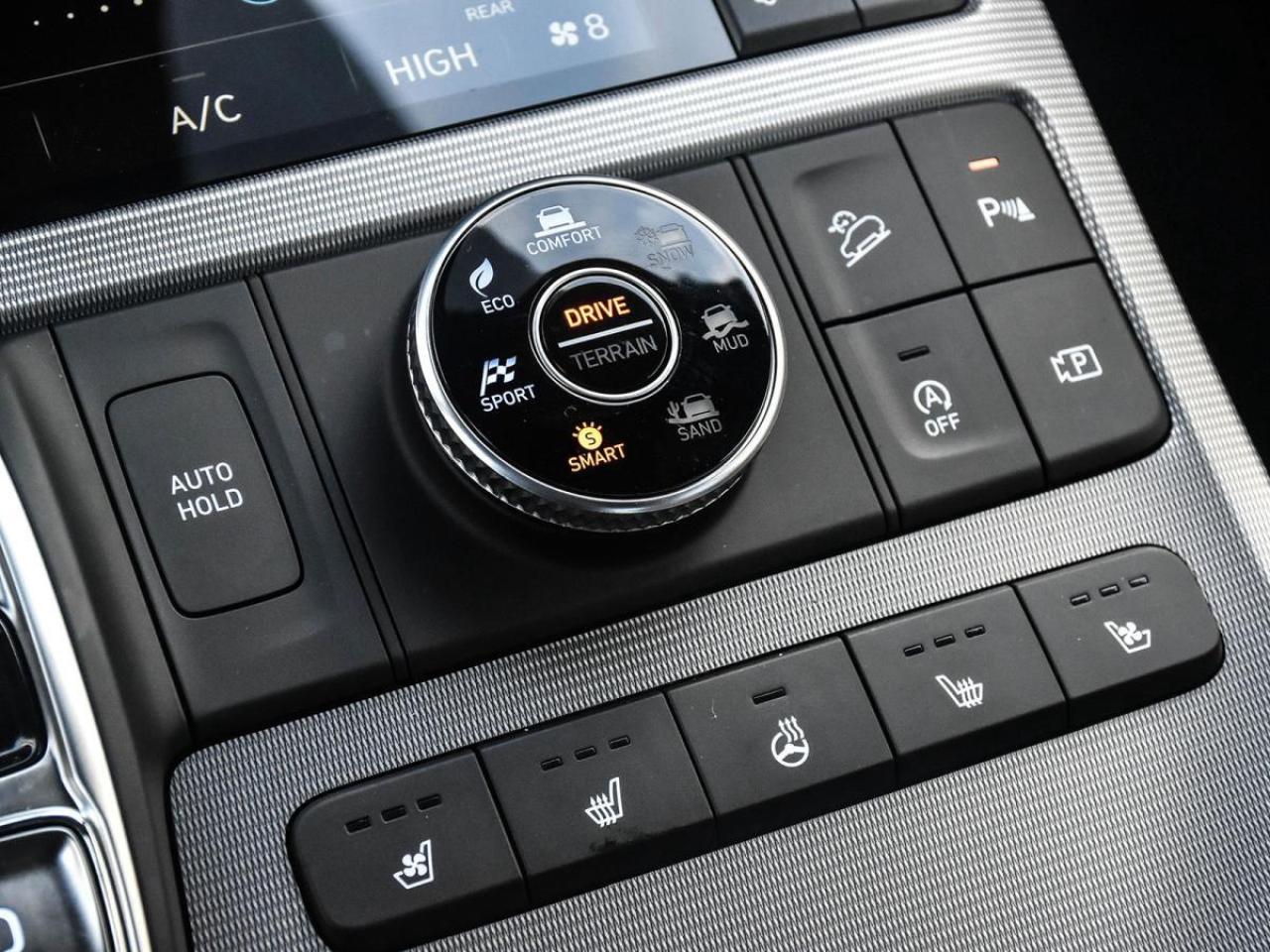 2025 Hyundai PALISADE Ultimate Calligraphy Photo