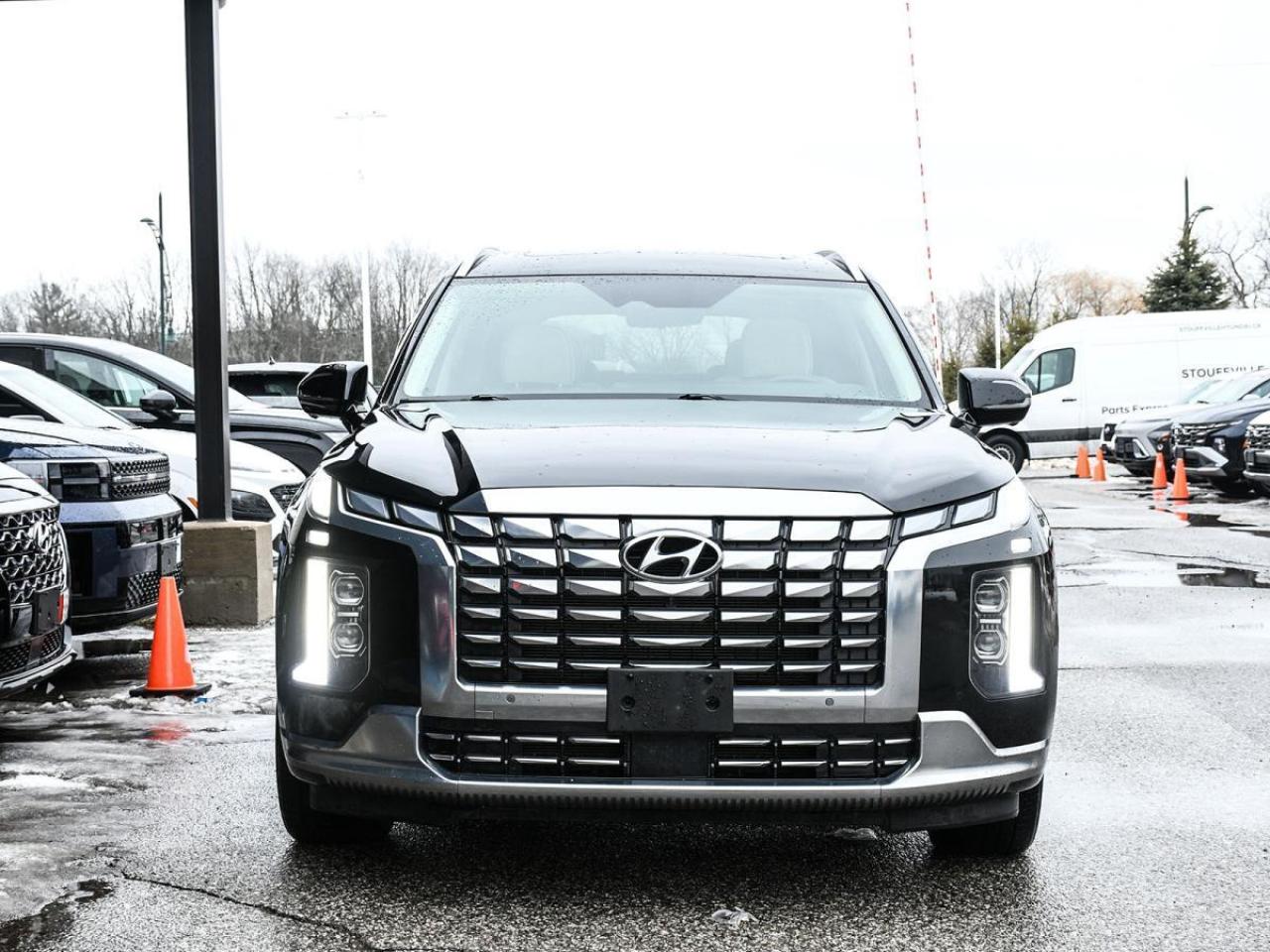 2024 Hyundai PALISADE Ultimate Calligraphy Photo