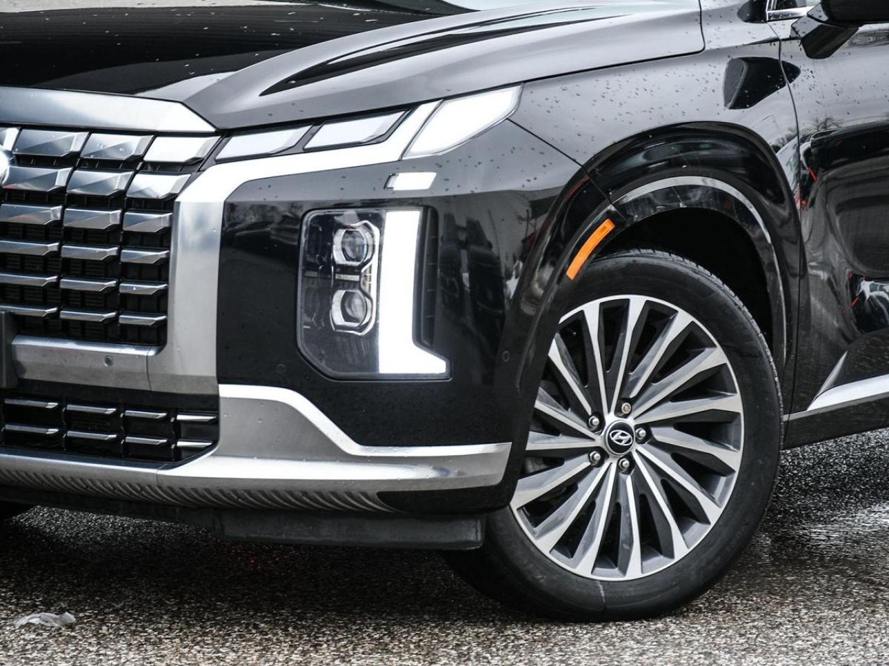 2024 Hyundai PALISADE Ultimate Calligraphy Photo