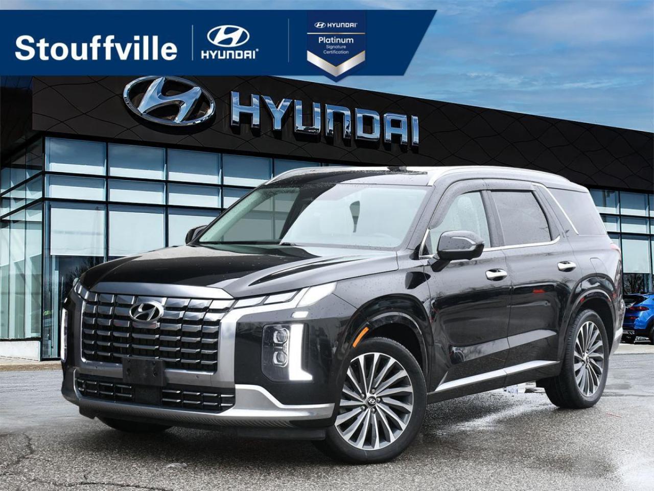 2024 Hyundai PALISADE Ultimate Calligraphy Photo