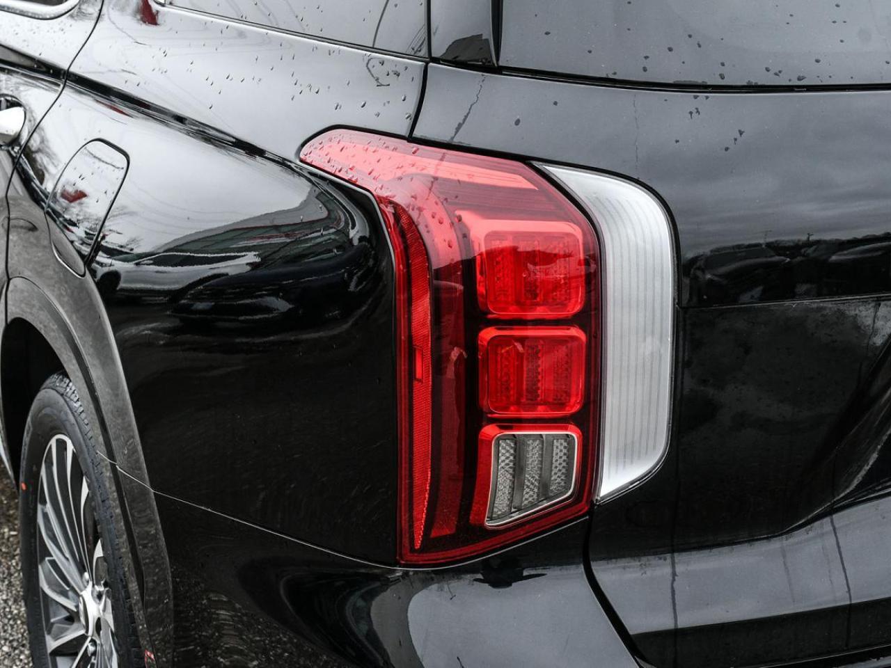 2024 Hyundai PALISADE Ultimate Calligraphy Photo