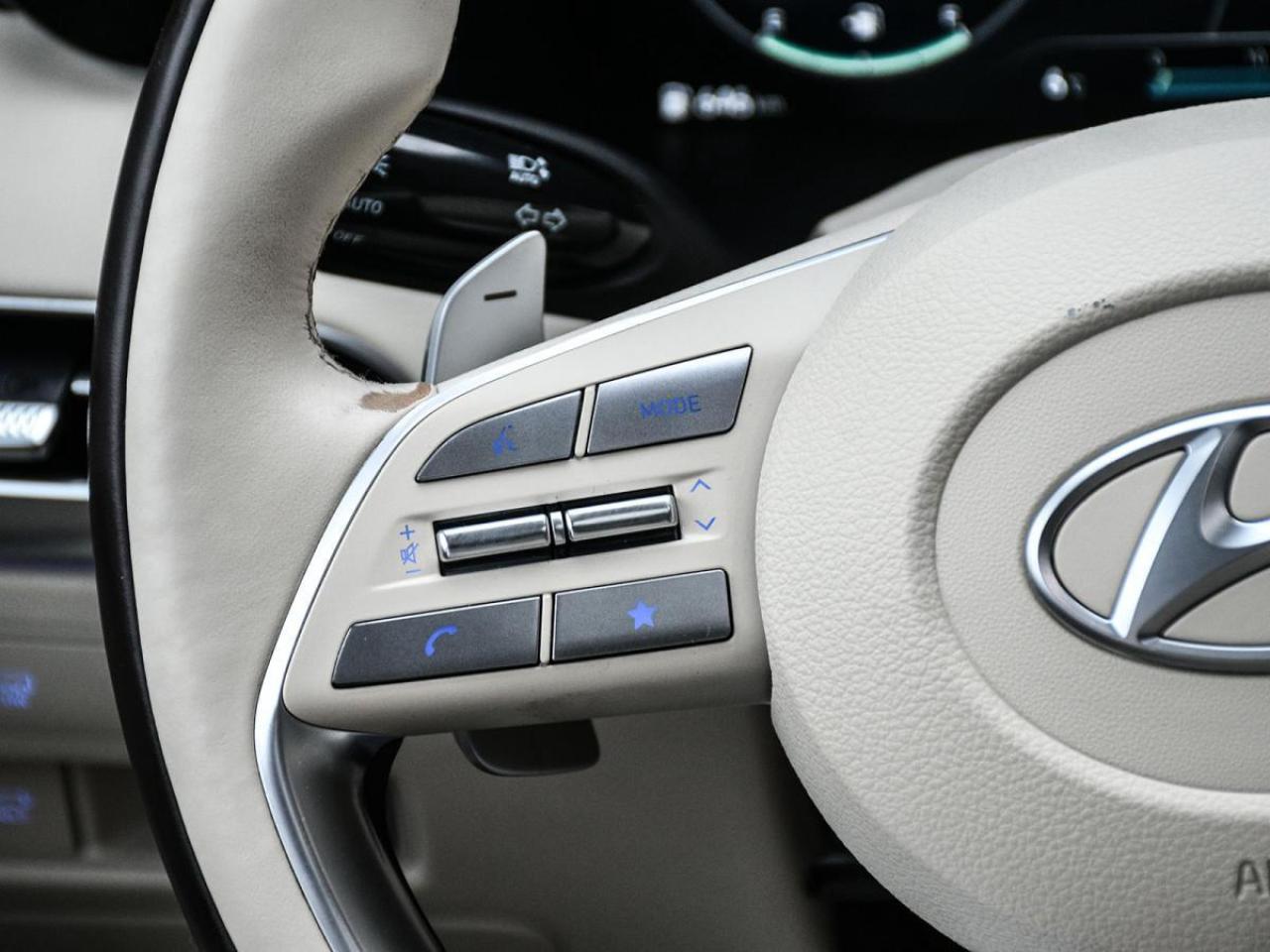 2024 Hyundai PALISADE Ultimate Calligraphy Photo