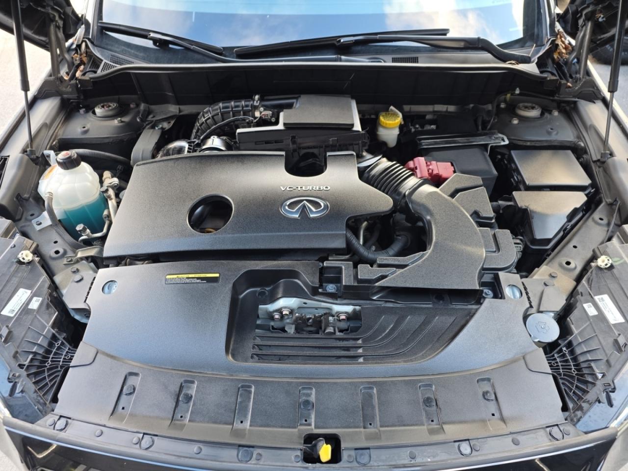 2023 Infiniti QX50 SPORT AWD * RED INTERIOR / COOLED SEATS / BOSE SOU Photo