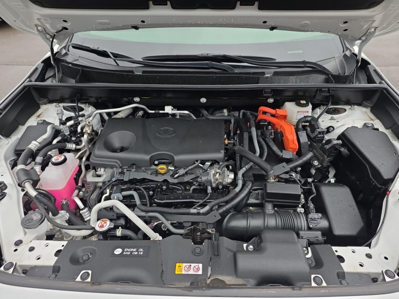 2023 Toyota RAV4 Prime NO ACCIDENTS / 1 OWNER / LOW KM / CARPLAY / SUNROO Photo