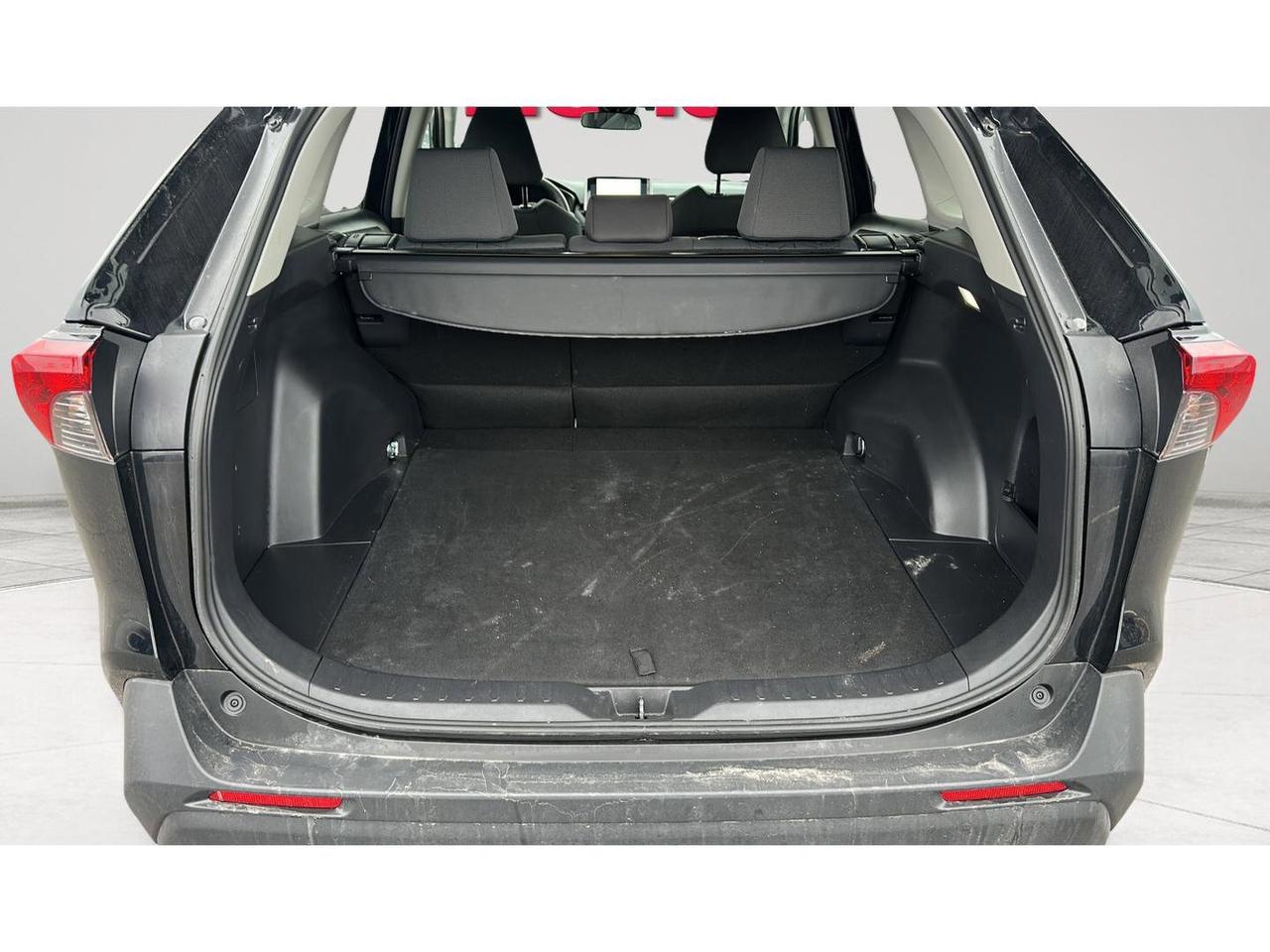 2025 Toyota RAV4 XLE Photo