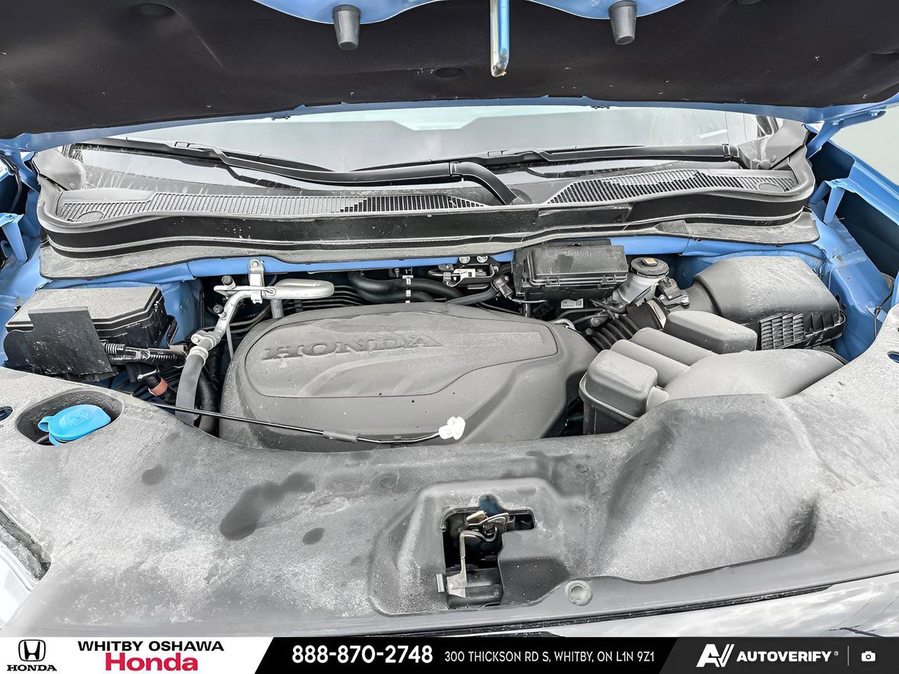 2025 Honda Passport TRAILSPORT Photo