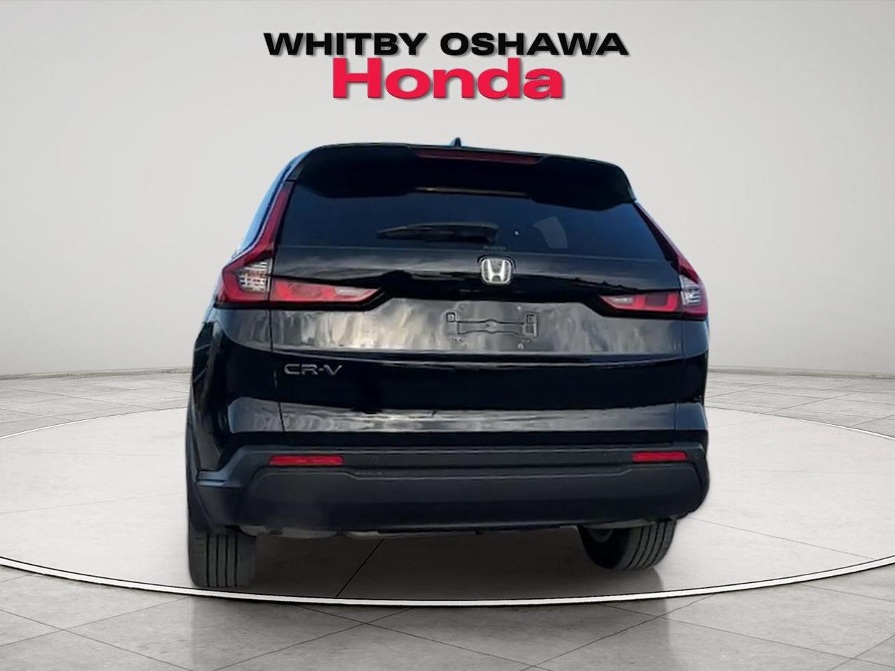 2024 Honda CR-V EX-L Photo