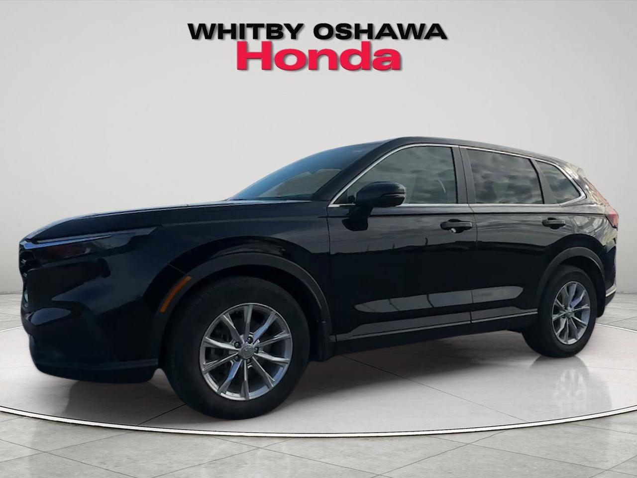 2024 Honda CR-V EX-L Photo