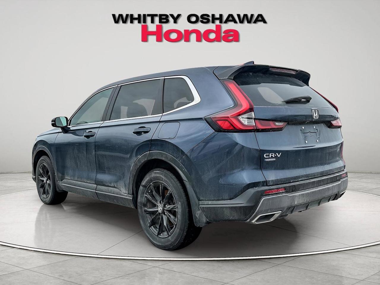 2024 Honda CR-V Hybrid EX-L Photo