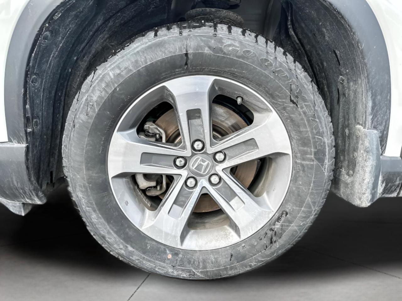 2023 Honda Pilot EX-L Photo