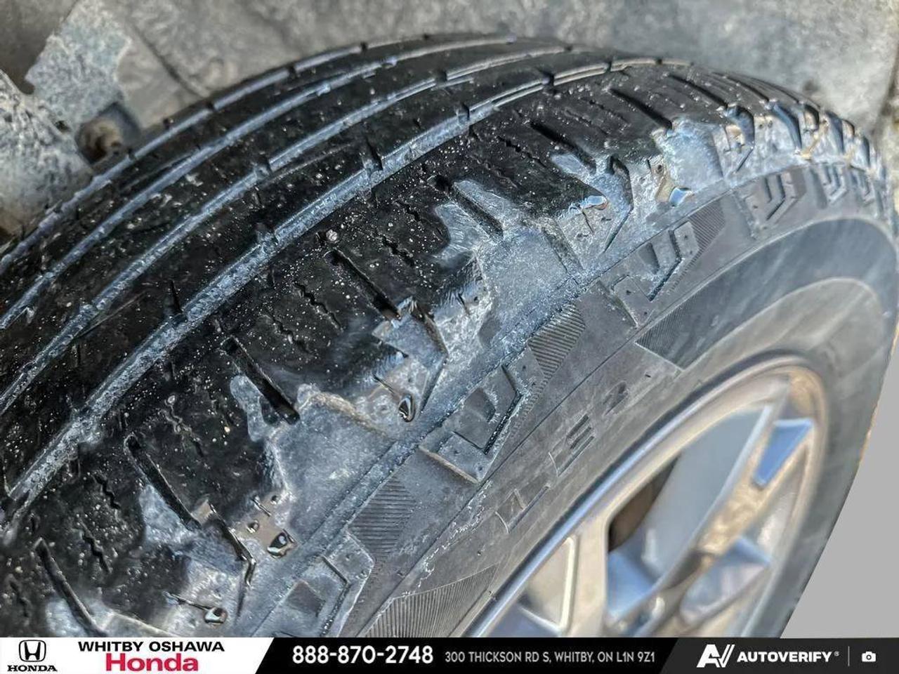 2023 Honda Passport TRAILSPORT Photo