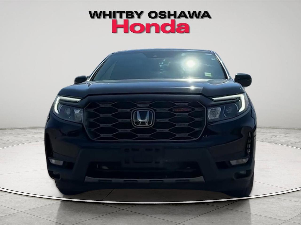 2023 Honda Passport TRAILSPORT Photo