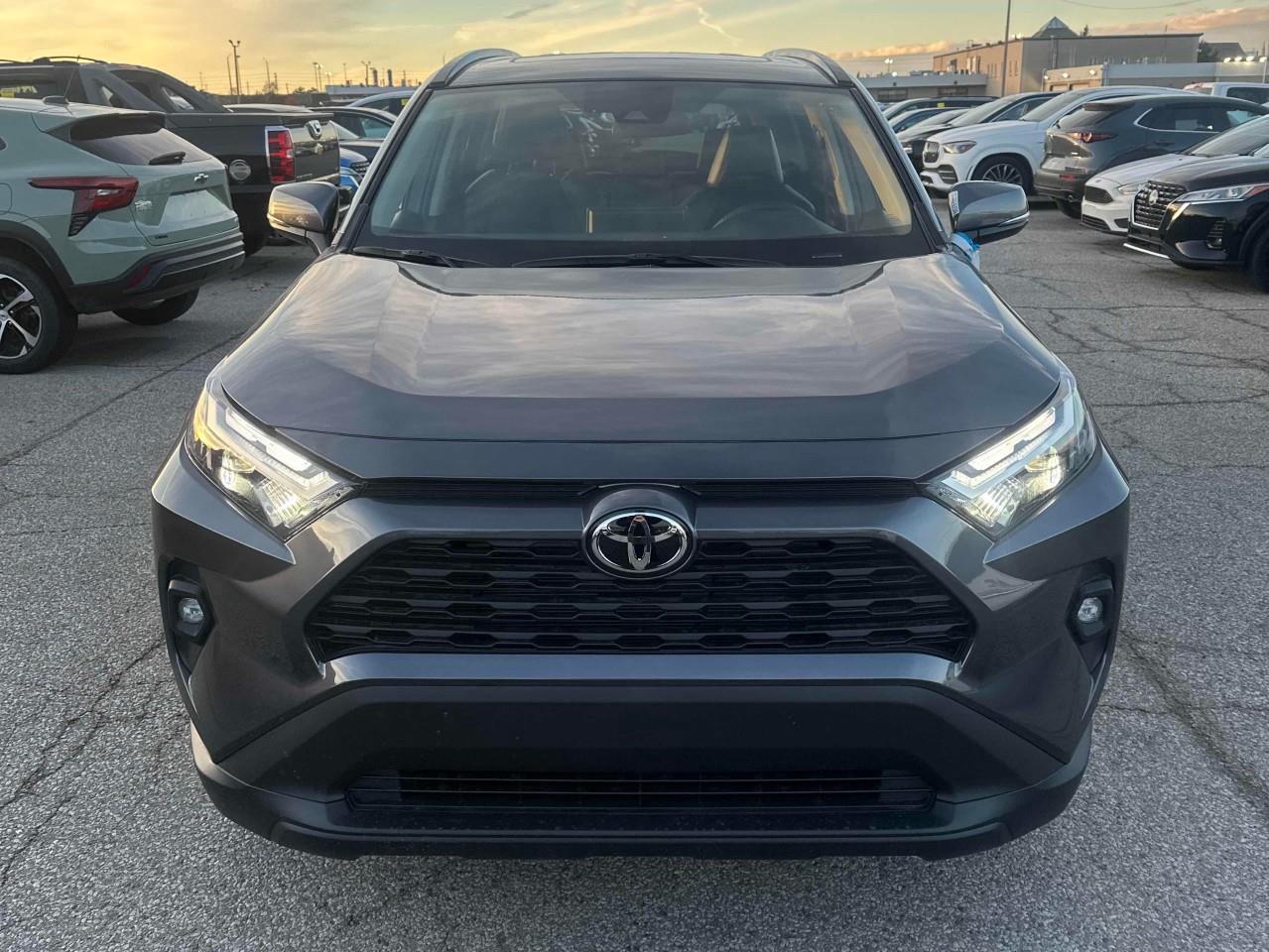 2025 Toyota RAV4 XLE 4dr All-wheel Drive Photo