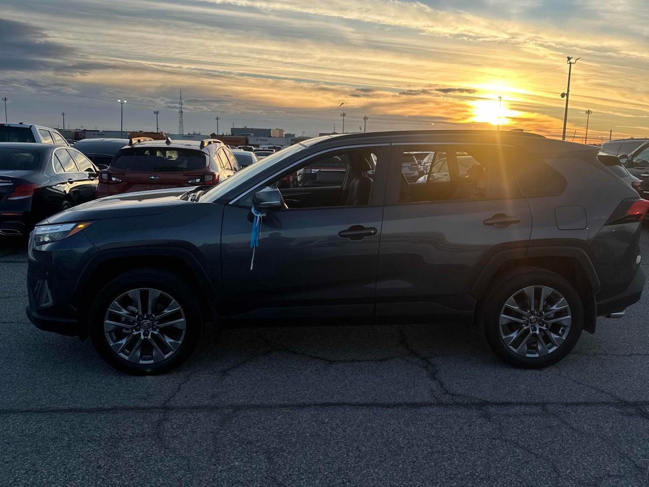 2025 Toyota RAV4 XLE 4dr All-wheel Drive Photo2