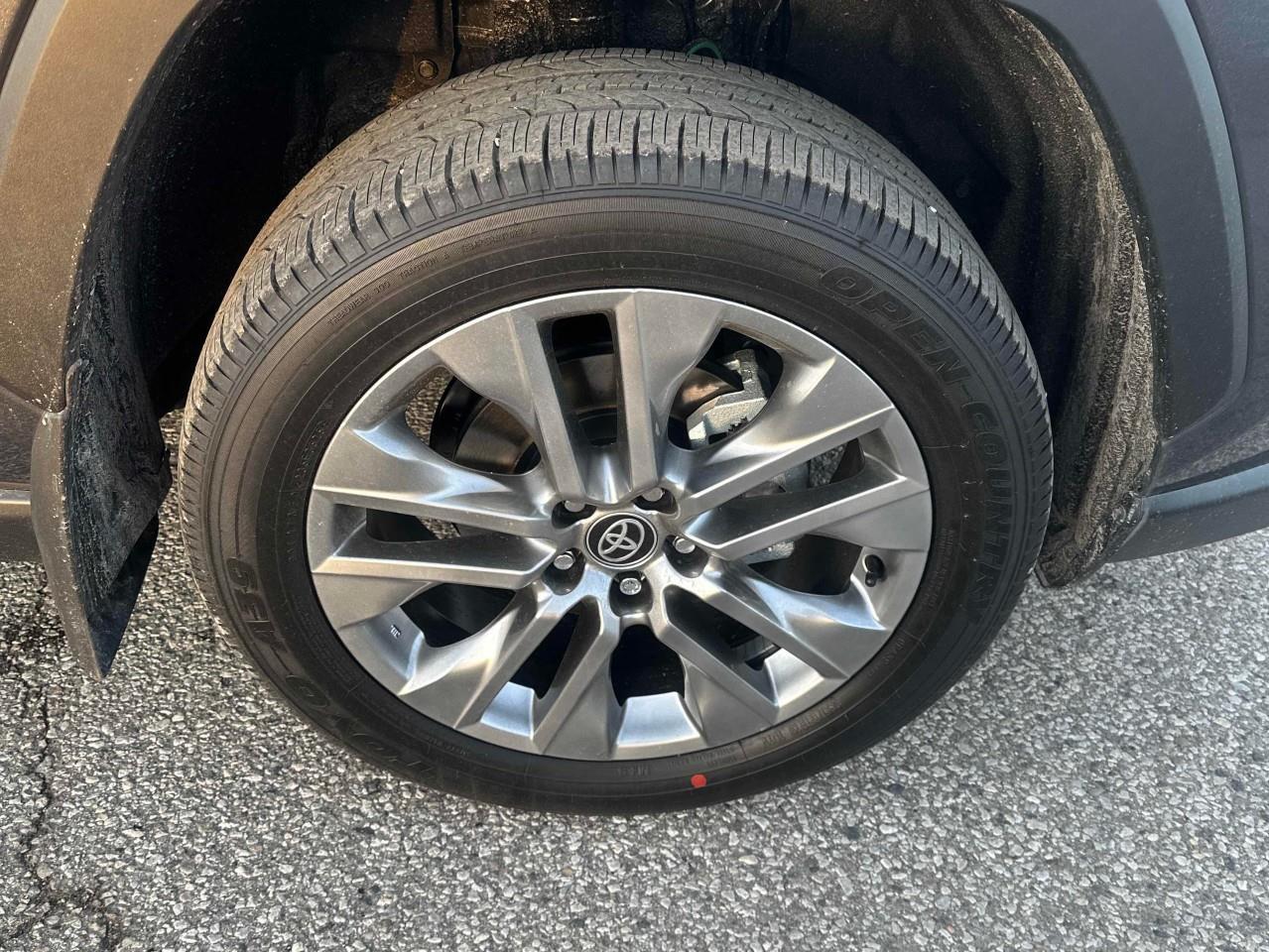 2025 Toyota RAV4 XLE 4dr All-wheel Drive Photo