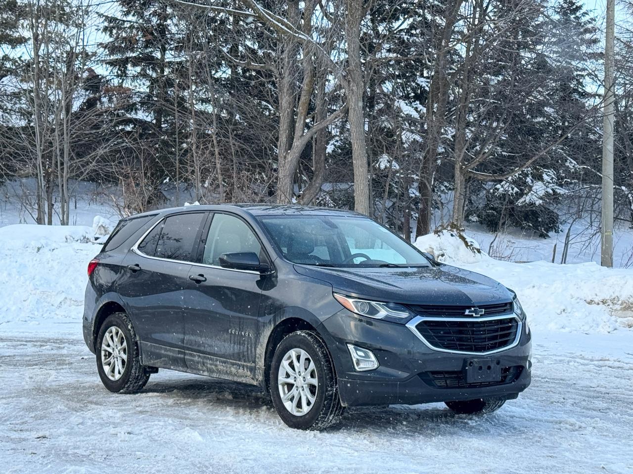 2019 Chevrolet Equinox LT Photo