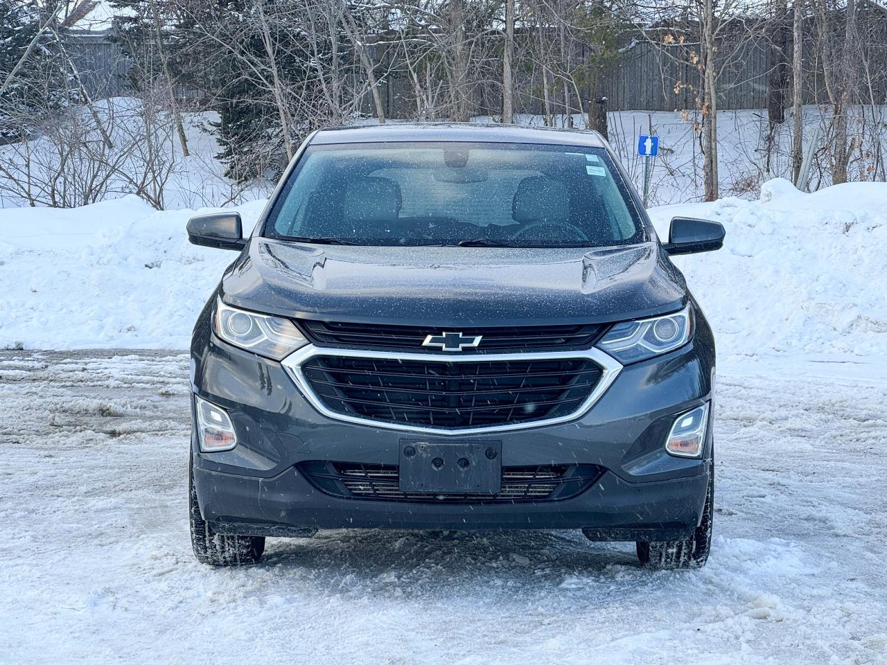 2019 Chevrolet Equinox LT Photo3