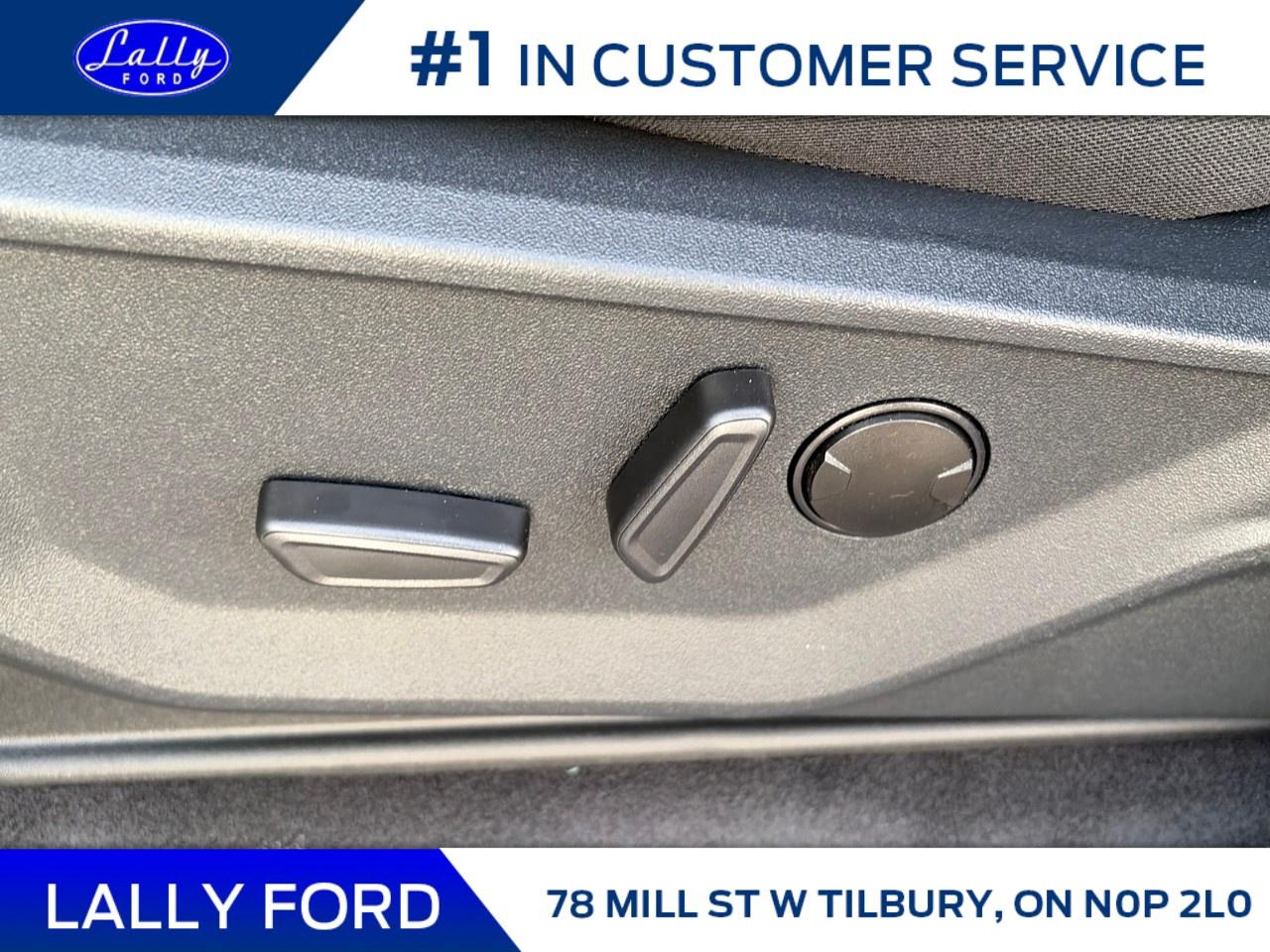 2026 Ford F-150 XLT 4WD SuperCrew 5.5' Box Photo