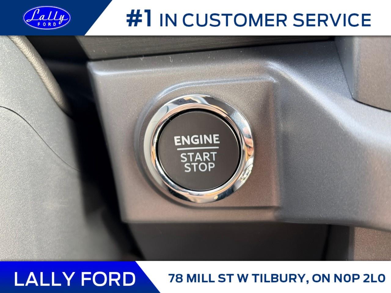 2026 Ford F-150 XLT 4WD SuperCrew 5.5' Box Photo