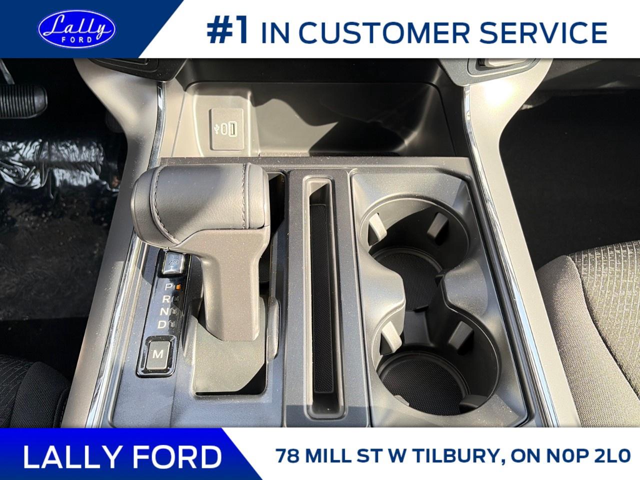 2026 Ford F-150 XLT 4WD SuperCrew 5.5' Box Photo