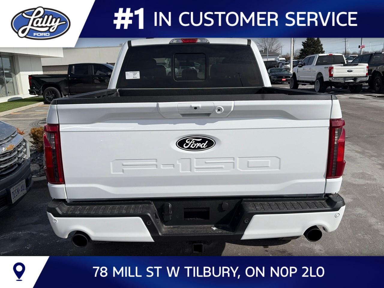 2026 Ford F-150 XLT 4WD SuperCrew 5.5' Box Photo