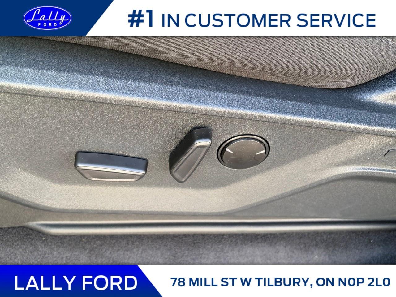 2026 Ford F-150 XLT 4WD SuperCrew 5.5' Box Photo