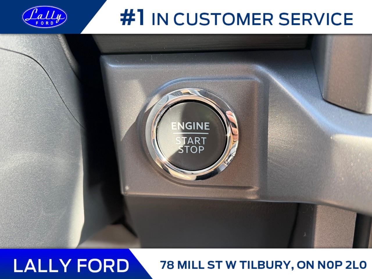 2026 Ford F-150 XLT 4WD SuperCrew 5.5' Box Photo