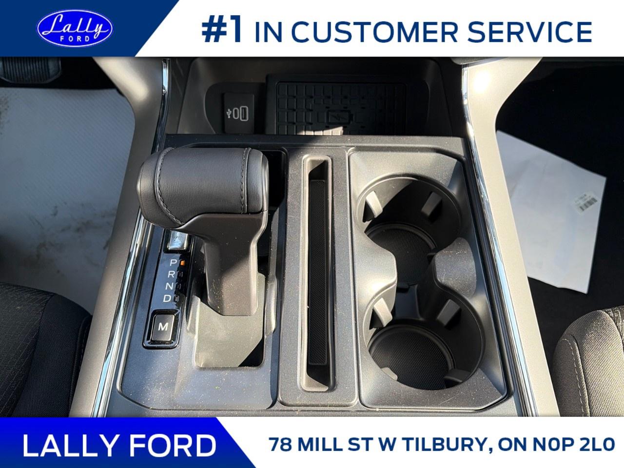 2026 Ford F-150 XLT 4WD SuperCrew 5.5' Box Photo