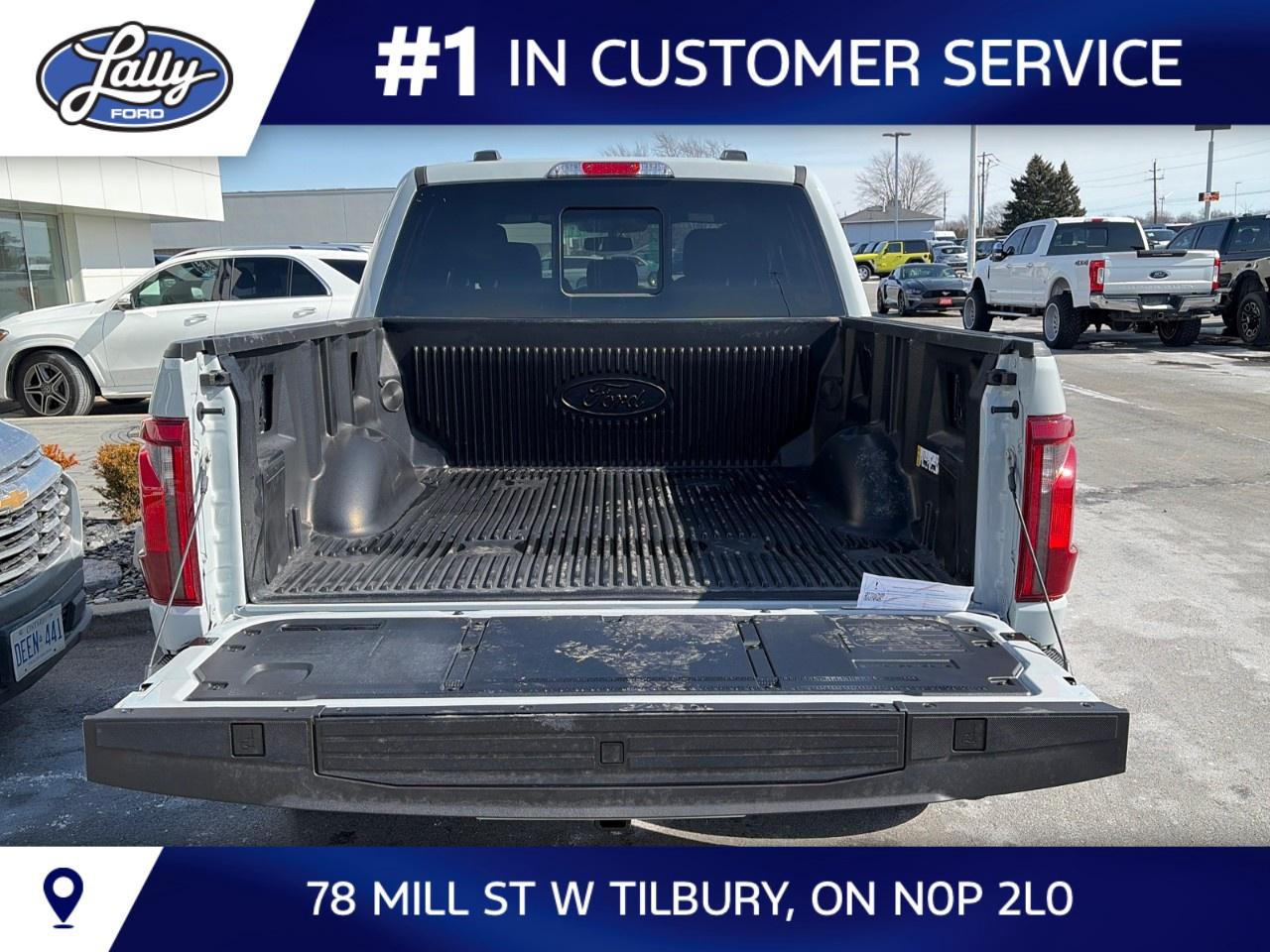 2026 Ford F-150 XLT 4WD SuperCrew 5.5' Box Photo