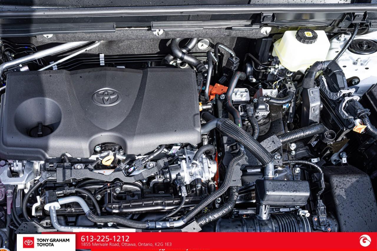 2026 Toyota RAV4 XSE Photo