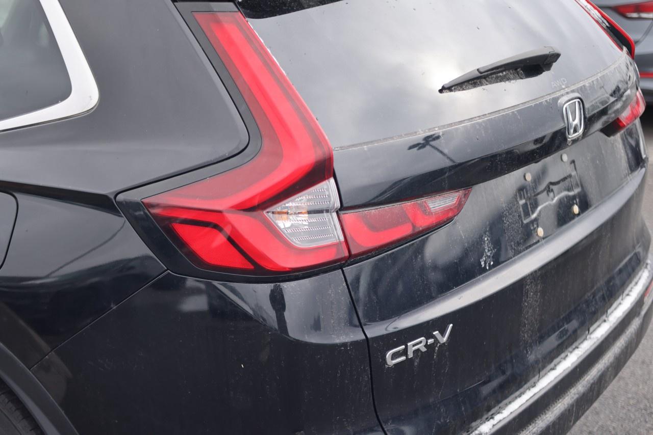 2023 Honda CR-V LX AWD Photo