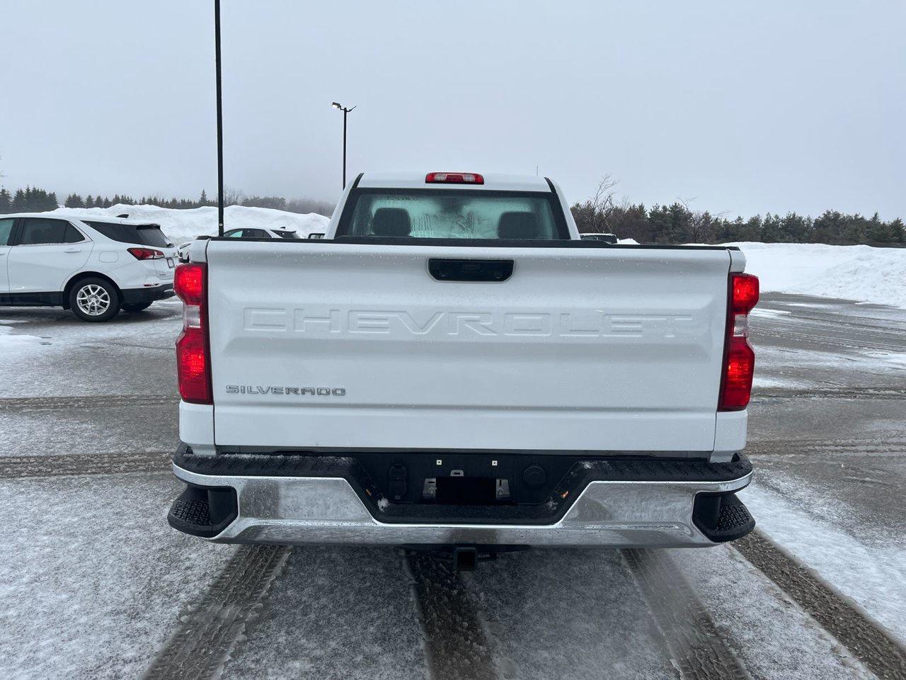 2023 Chevrolet Silverado 1500 2WD Reg Cab 140 Work Truck Photo