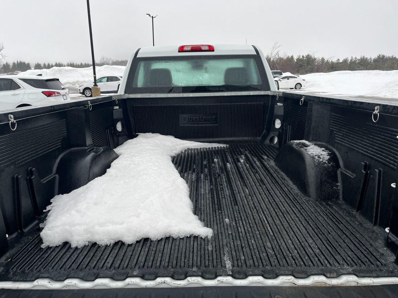 2023 Chevrolet Silverado 1500 2WD Reg Cab 140 Work Truck Photo